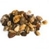 Rheinkies | Quarz Rundkorn | braun-bunt | 16-32mm o. 32-63mm | Bigbag 1000kg