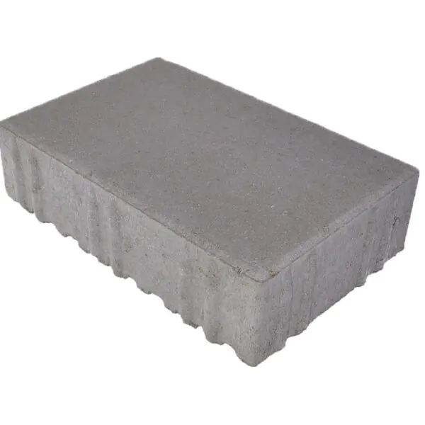 Rechteckpflaster 20×30×8 cm – LKW-befahrbar in grau