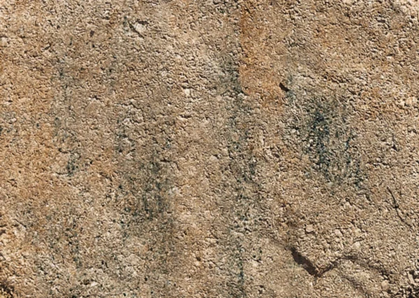 1323601_1 Antikpflaster Muschelkalk | 21x14x6cm