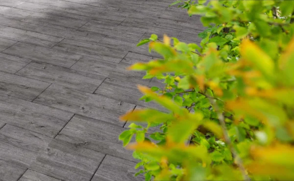 Terrassenplatte Fino grau-anthrazit | 4 cm - verschiedene Größen