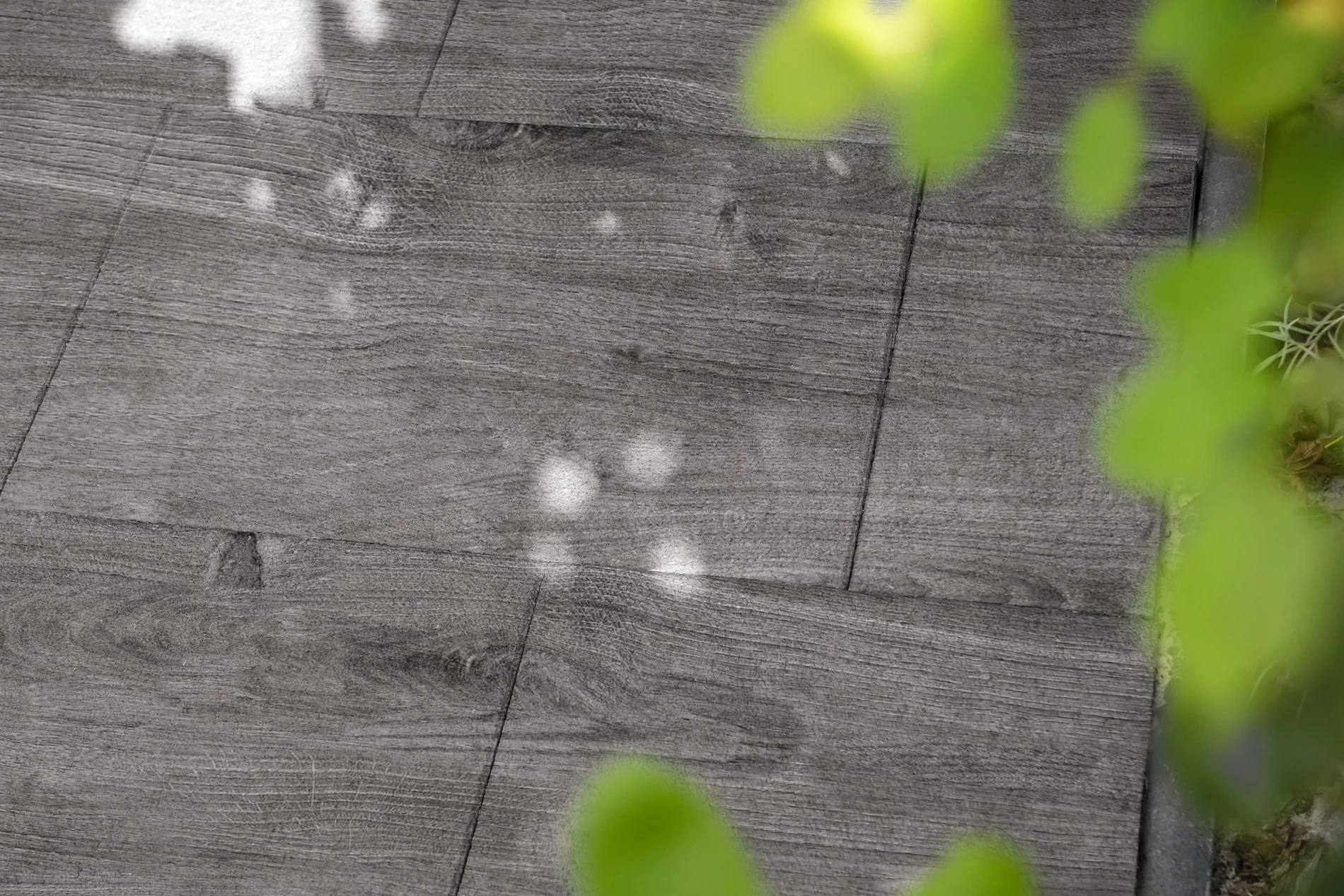 Terrassenplatte Fino grau-anthrazit | 4 cm – verschiedene Größen